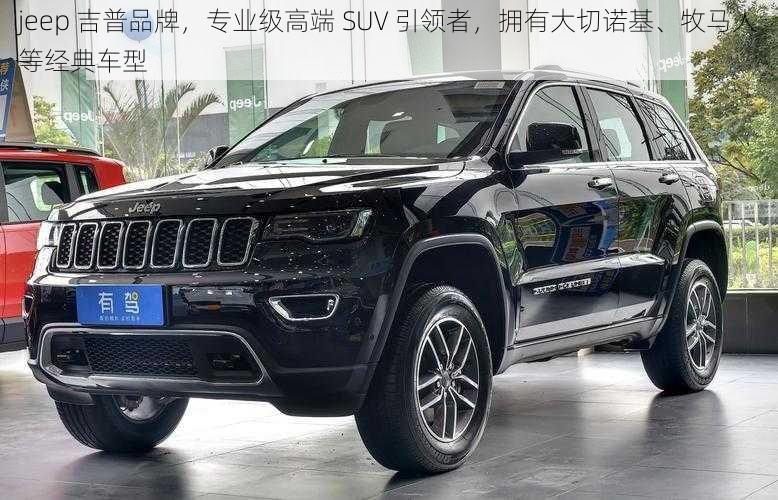 jeep 吉普品牌,专业级高端 SUV 引领者,拥有大切诺基、牧马人等经典车型