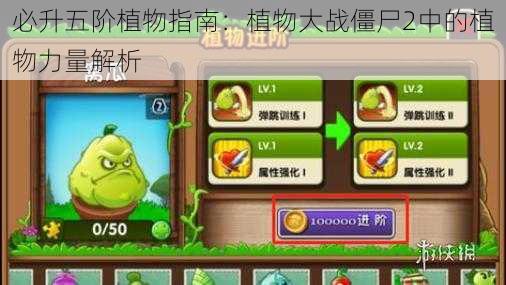 必升五阶植物指南:植物大战僵尸2中的植物力量解析