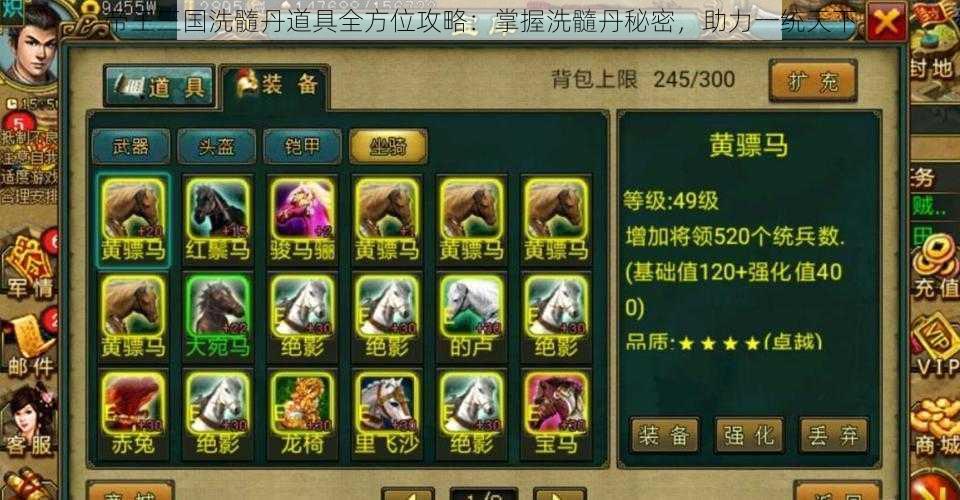 帝王三国洗髓丹道具全方位攻略:掌握洗髓丹秘密,助力一统天下