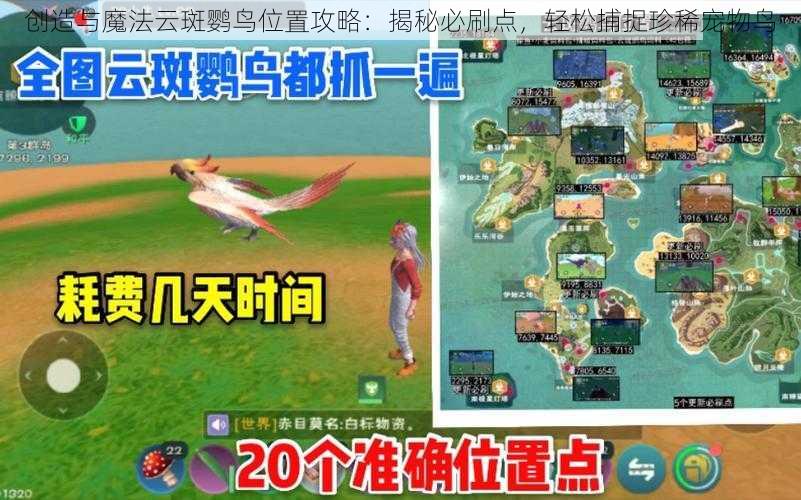 创造与魔法云斑鹦鸟位置攻略:揭秘必刷点,轻松捕捉珍稀宠物鸟