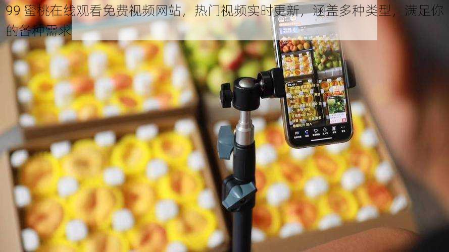 99 蜜桃在线观看免费视频网站,热门视频实时更新,涵盖多种类型,满足你的各种需求