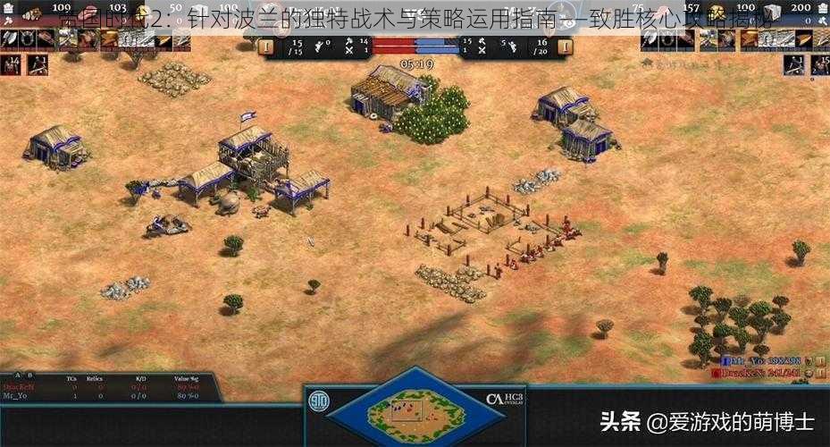 帝国时代2:针对波兰的独特战术与策略运用指南——致胜核心攻略揭秘