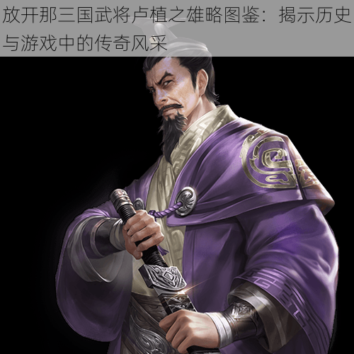 放开那三国武将卢植之雄略图鉴:揭示历史与游戏中的传奇风采