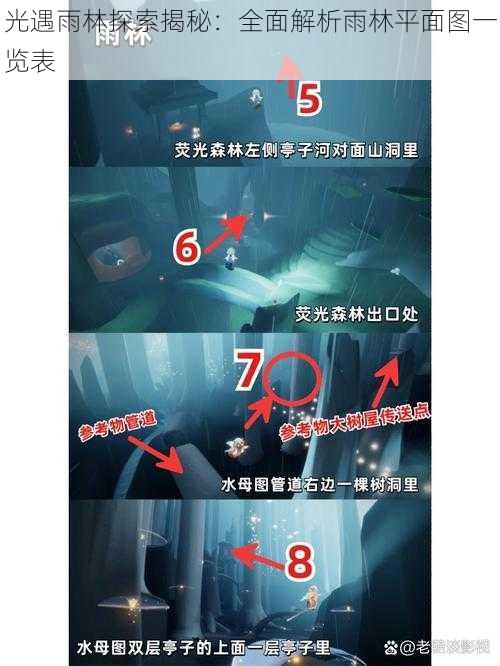 光遇雨林探索揭秘:全面解析雨林平面图一览表