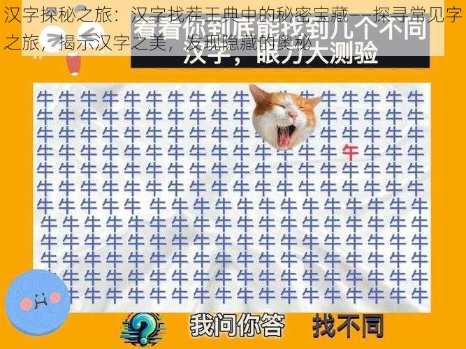 汉字探秘之旅:汉字找茬王典中的秘密宝藏——探寻常见字之旅,揭示汉字之美,发现隐藏的奥秘