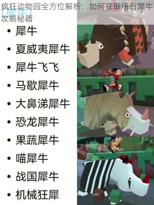 疯狂动物园全方位解析:如何获取所有犀牛攻略秘籍