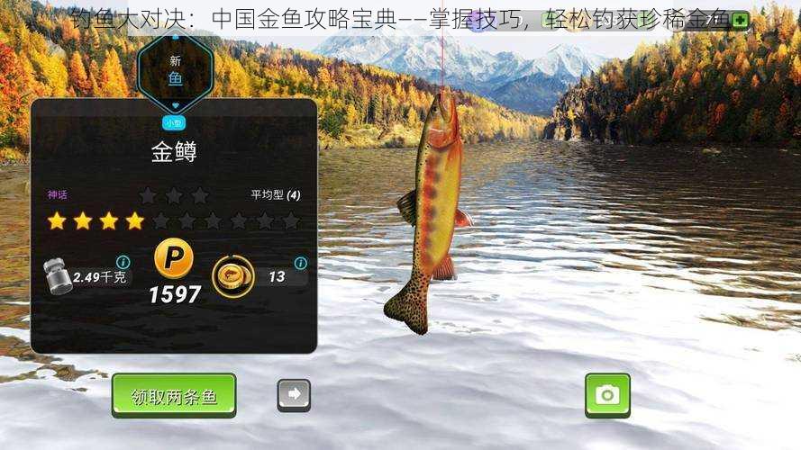 钓鱼大对决:中国金鱼攻略宝典——掌握技巧,轻松钓获珍稀金鱼