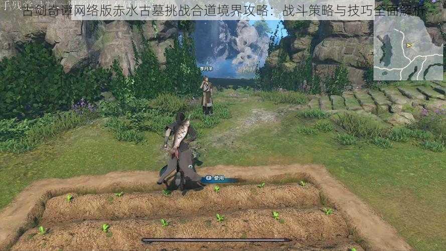 古剑奇谭网络版赤水古墓挑战合道境界攻略:战斗策略与技巧全面解析