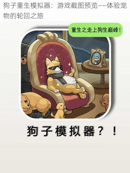 狗子重生模拟器:游戏截图预览——体验宠物的轮回之旅