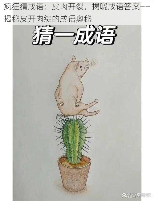 疯狂猜成语:皮肉开裂,揭晓成语答案——揭秘皮开肉绽的成语奥秘