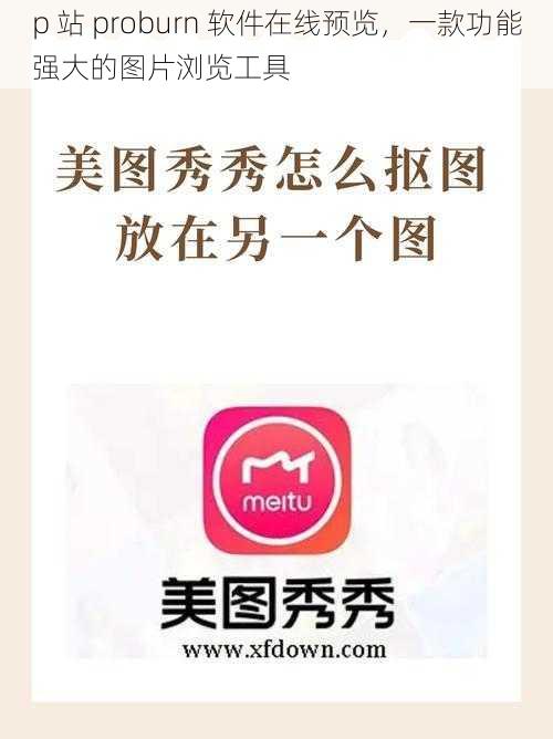 p 站 proburn 软件在线预览,一款功能强大的图片浏览工具