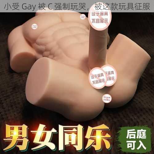 小受 Gay 被 C 强制玩哭,被这款玩具征服