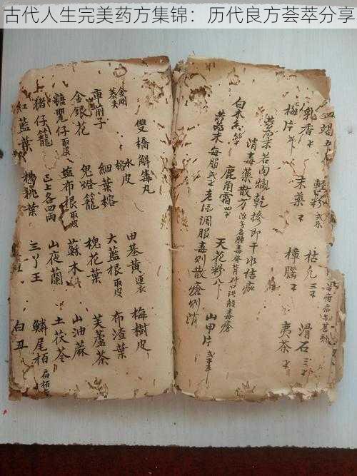 古代人生完美药方集锦:历代良方荟萃分享