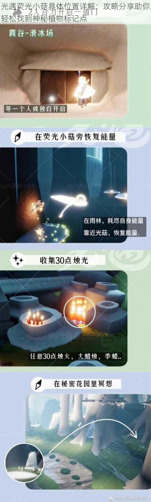 光遇荧光小菇具体位置详解:攻略分享助你轻松找到神秘植物标记点