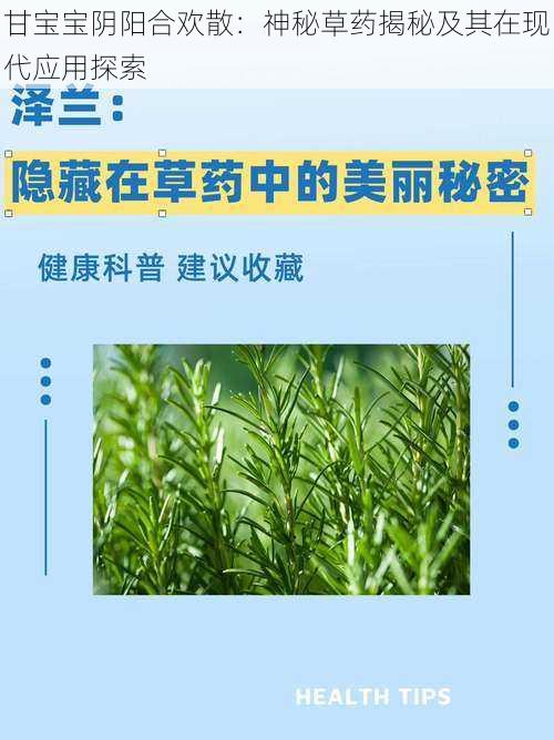 甘宝宝阴阳合欢散:神秘草药揭秘及其在现代应用探索