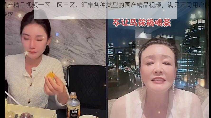 国产精品视频一区二区三区,汇集各种类型的国产精品视频,满足不同用户的需求