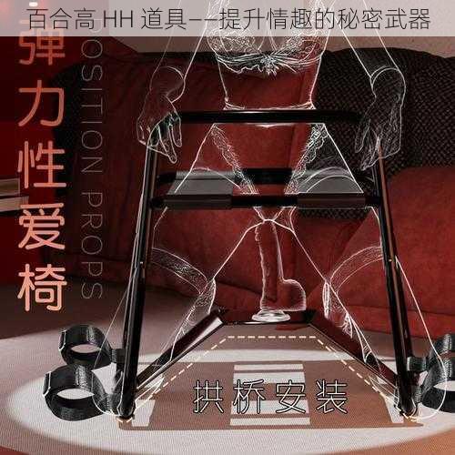 百合高 HH 道具——提升情趣的秘密武器