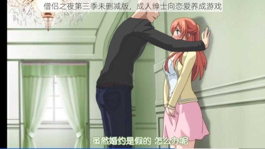 僧侣之夜第三季未删减版,成人绅士向恋爱养成游戏