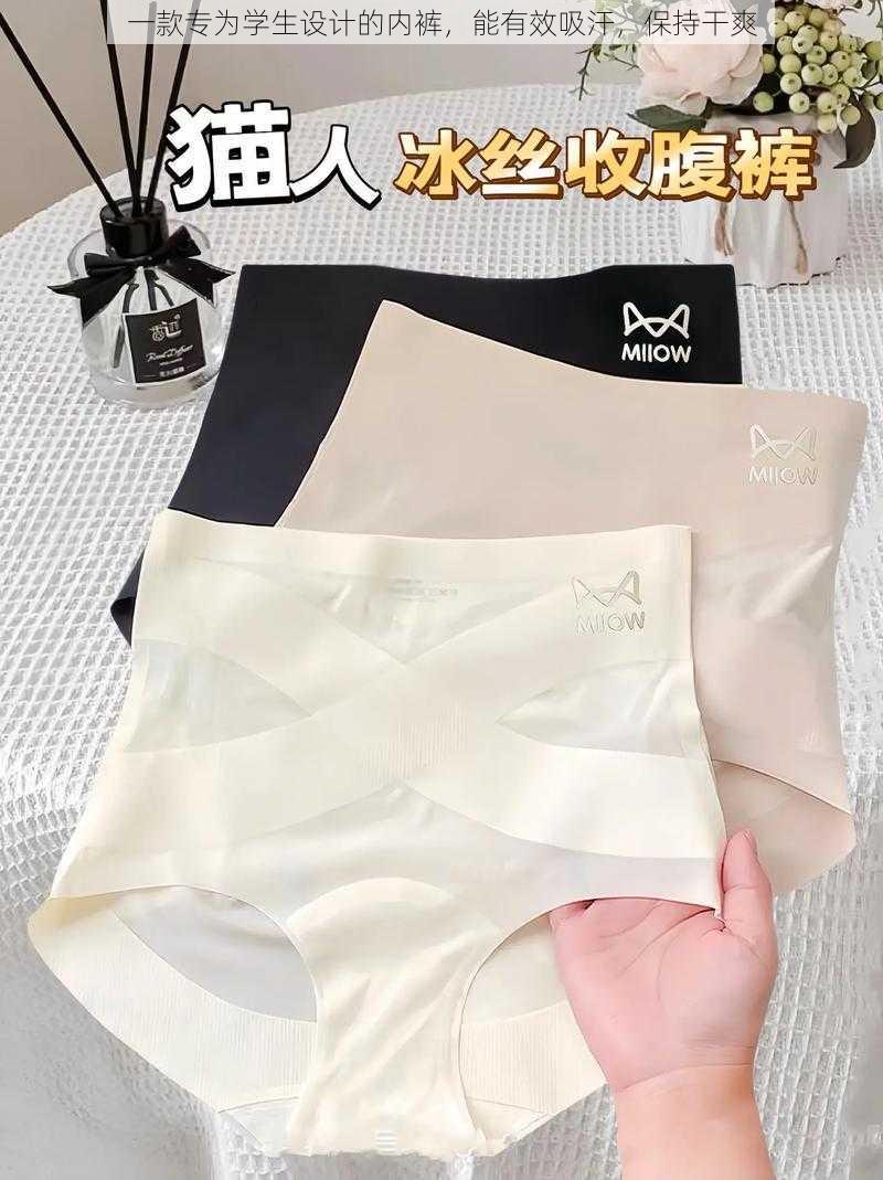 一款专为学生设计的内裤,能有效吸汗,保持干爽
