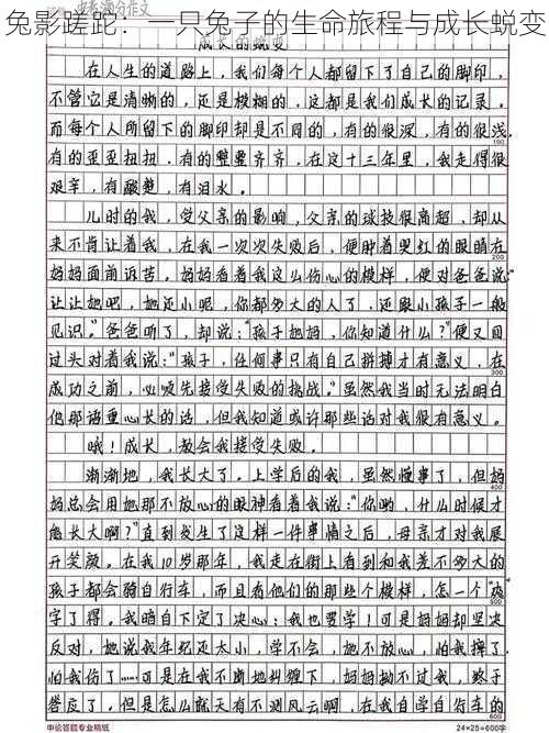 兔影蹉跎:一只兔子的生命旅程与成长蜕变