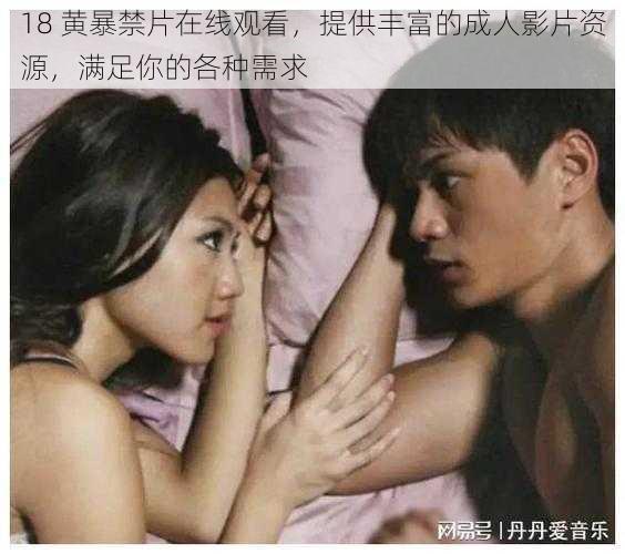 18 黄暴禁片在线观看,提供丰富的成人影片资源,满足你的各种需求