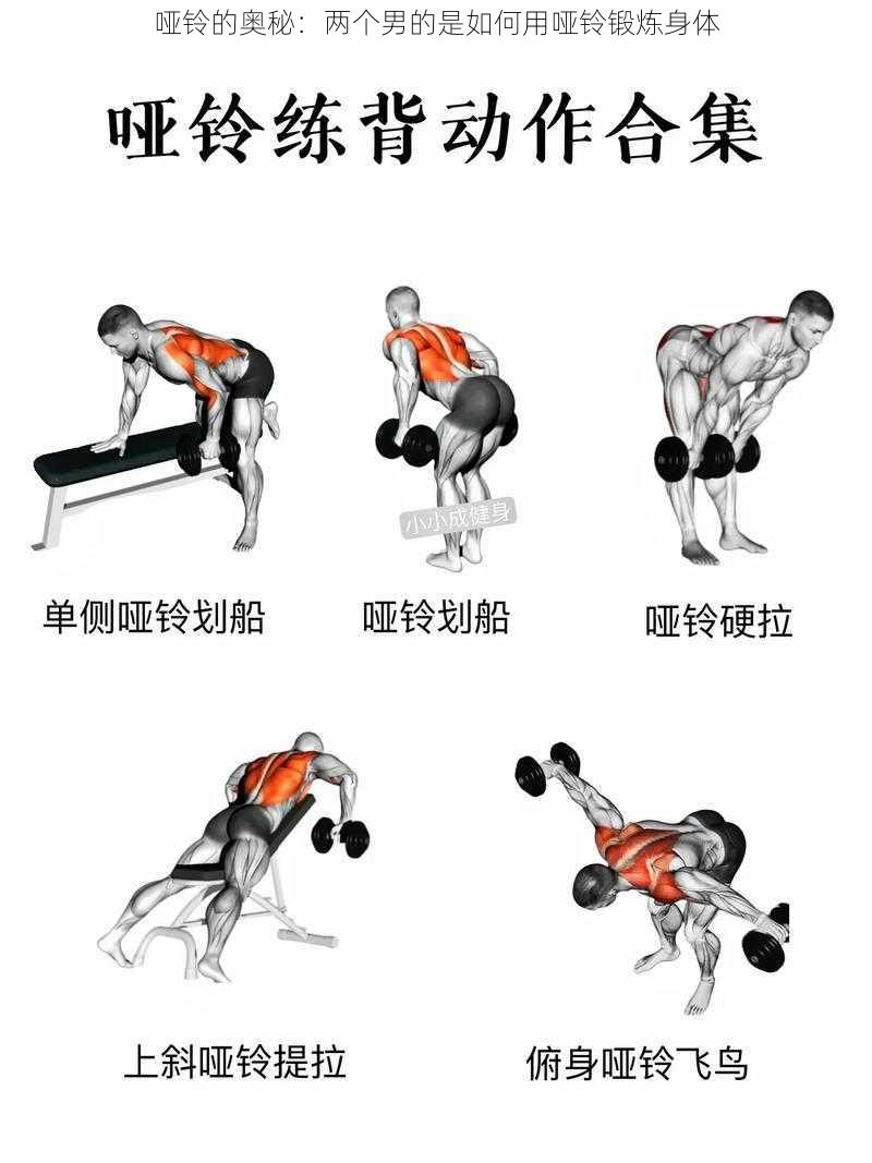 哑铃的奥秘:两个男的是如何用哑铃锻炼身体