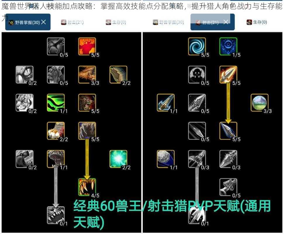魔兽世界猎人技能加点攻略:掌握高效技能点分配策略,提升猎人角色战力与生存能力