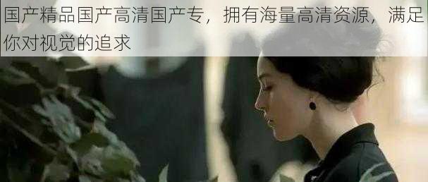 国产精品国产高清国产专,拥有海量高清资源,满足你对视觉的追求
