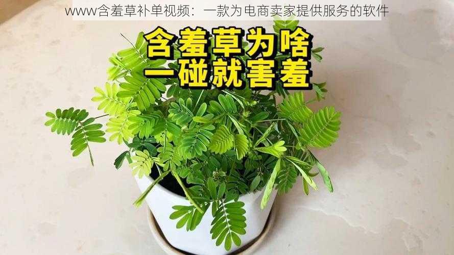 www含羞草补单视频:一款为电商卖家提供服务的软件