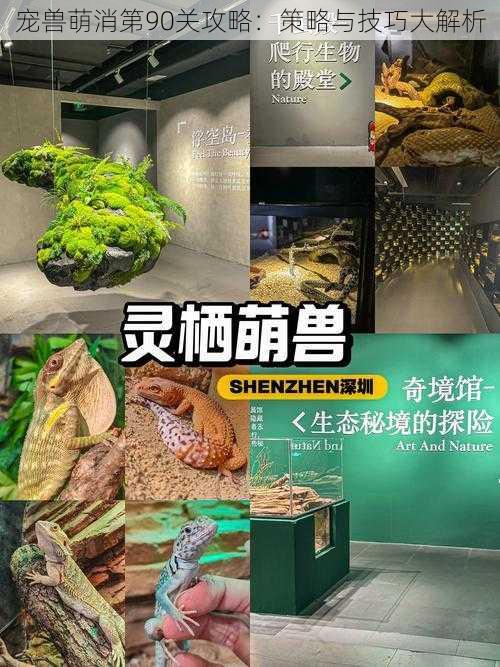 宠兽萌消第90关攻略:策略与技巧大解析