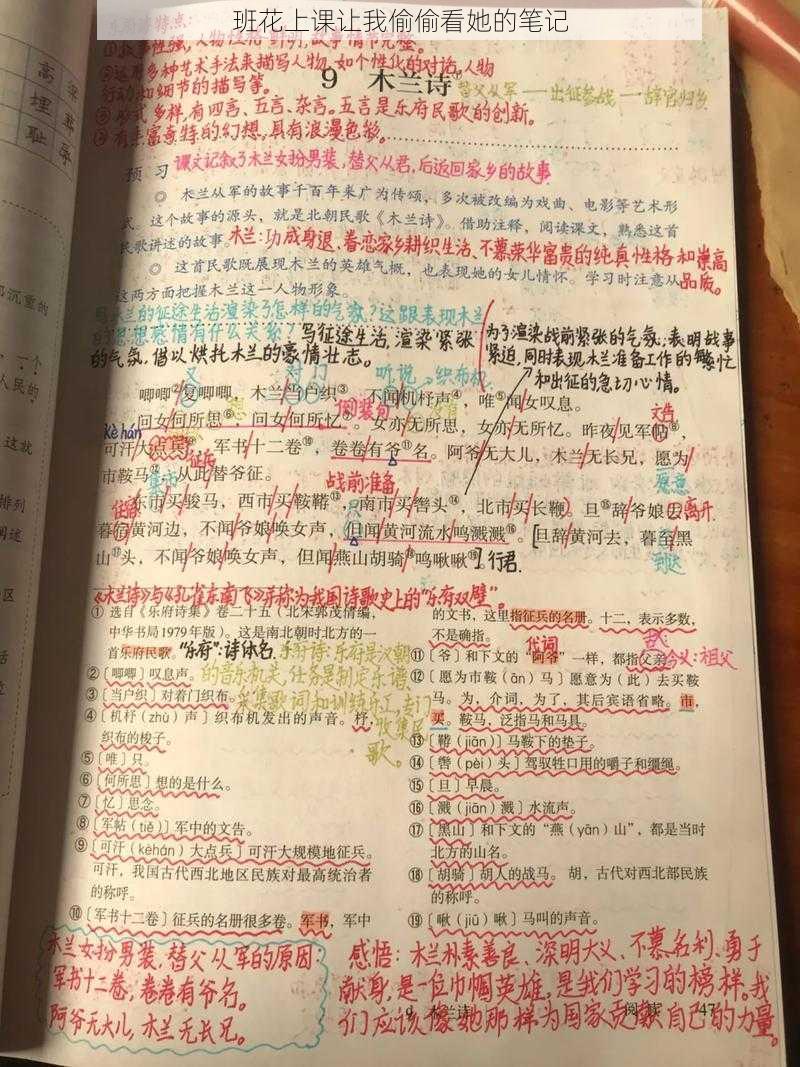 班花上课让我偷偷看她的笔记