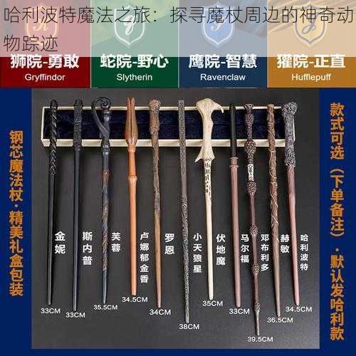 哈利波特魔法之旅:探寻魔杖周边的神奇动物踪迹