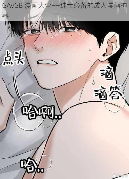 GAyGB 漫画大全——绅士必备的成人漫画神器
