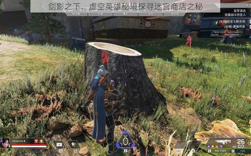 剑影之下,虚空英雄秘境探寻迷宫商店之秘