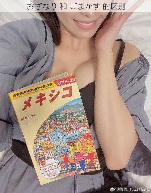 おざなり 和 ごまかす 的区别