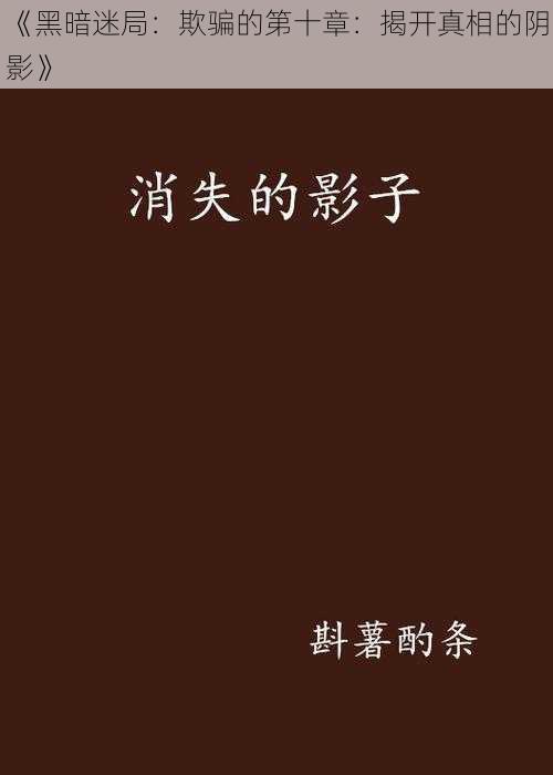 《黑暗迷局:欺骗的第十章:揭开真相的阴影》