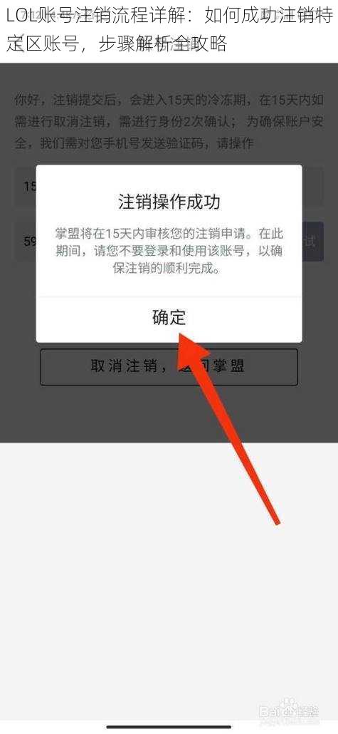 LOL账号注销流程详解:如何成功注销特定区账号,步骤解析全攻略