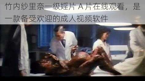 竹内纱里奈一级婬片 A 片在线观看,是一款备受欢迎的成人视频软件