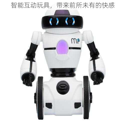 智能互动玩具,带来前所未有的快感