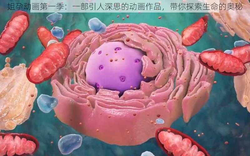 姐孕动画第一季:一部引人深思的动画作品,带你探索生命的奥秘