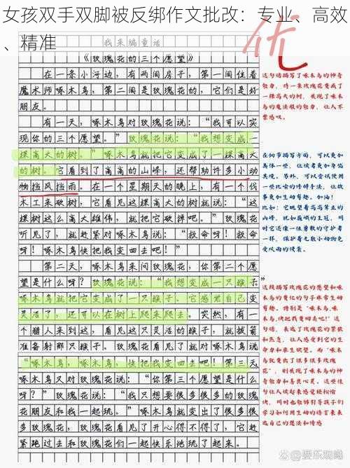 女孩双手双脚被反绑作文批改:专业、高效、精准