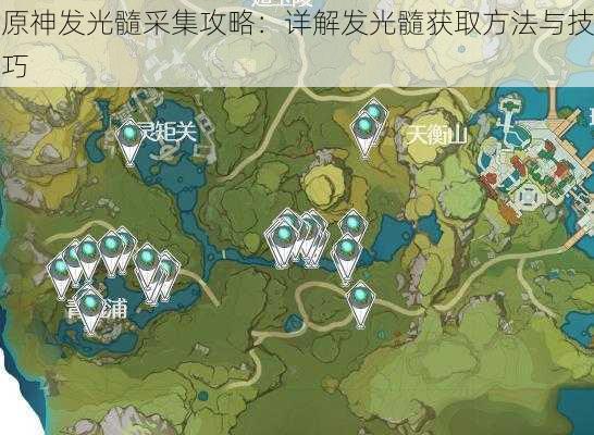 原神发光髓采集攻略:详解发光髓获取方法与技巧