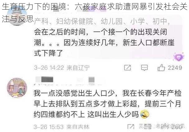 生育压力下的困境:六孩家庭求助遭网暴引发社会关注与反思