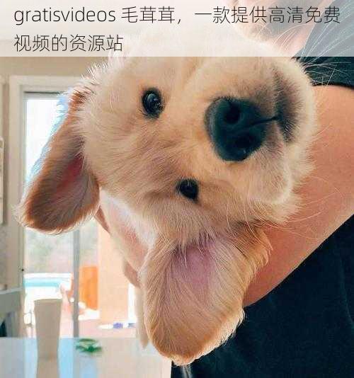 gratisvideos 毛茸茸,一款提供高清免费视频的资源站