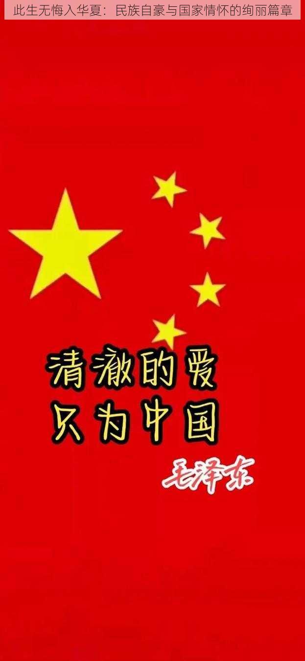 此生无悔入华夏:民族自豪与国家情怀的绚丽篇章