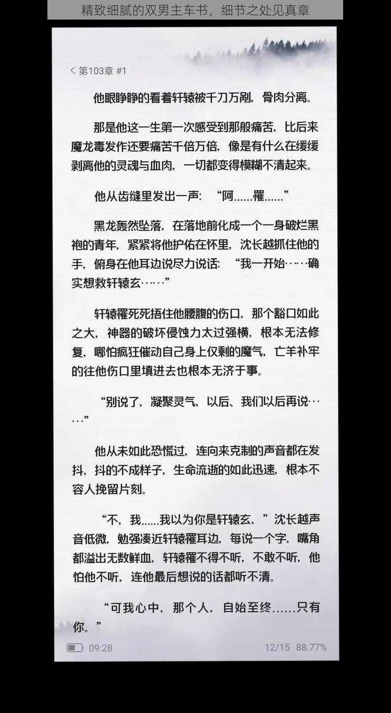 精致细腻的双男主车书,细节之处见真章