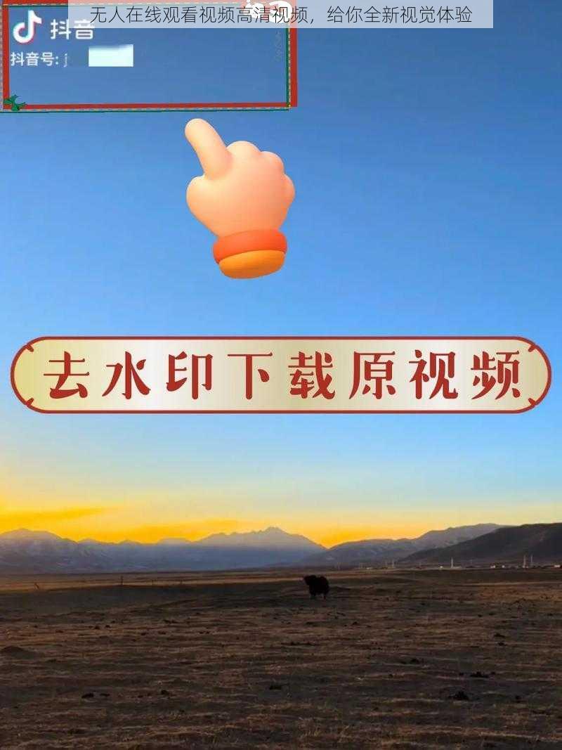 无人在线观看视频高清视频,给你全新视觉体验