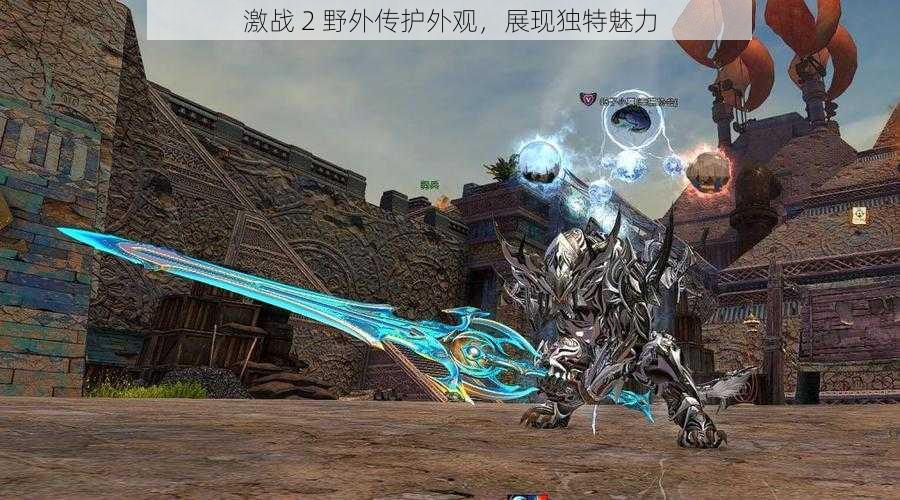 激战 2 野外传护外观,展现独特魅力