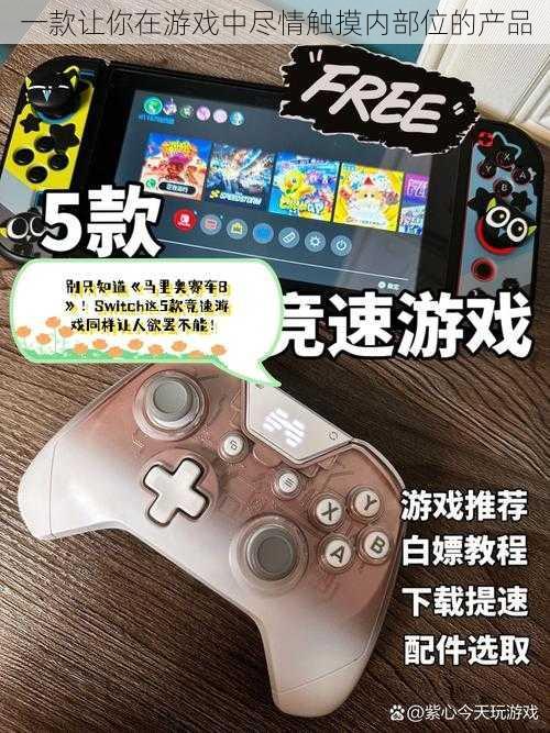 一款让你在游戏中尽情触摸内部位的产品