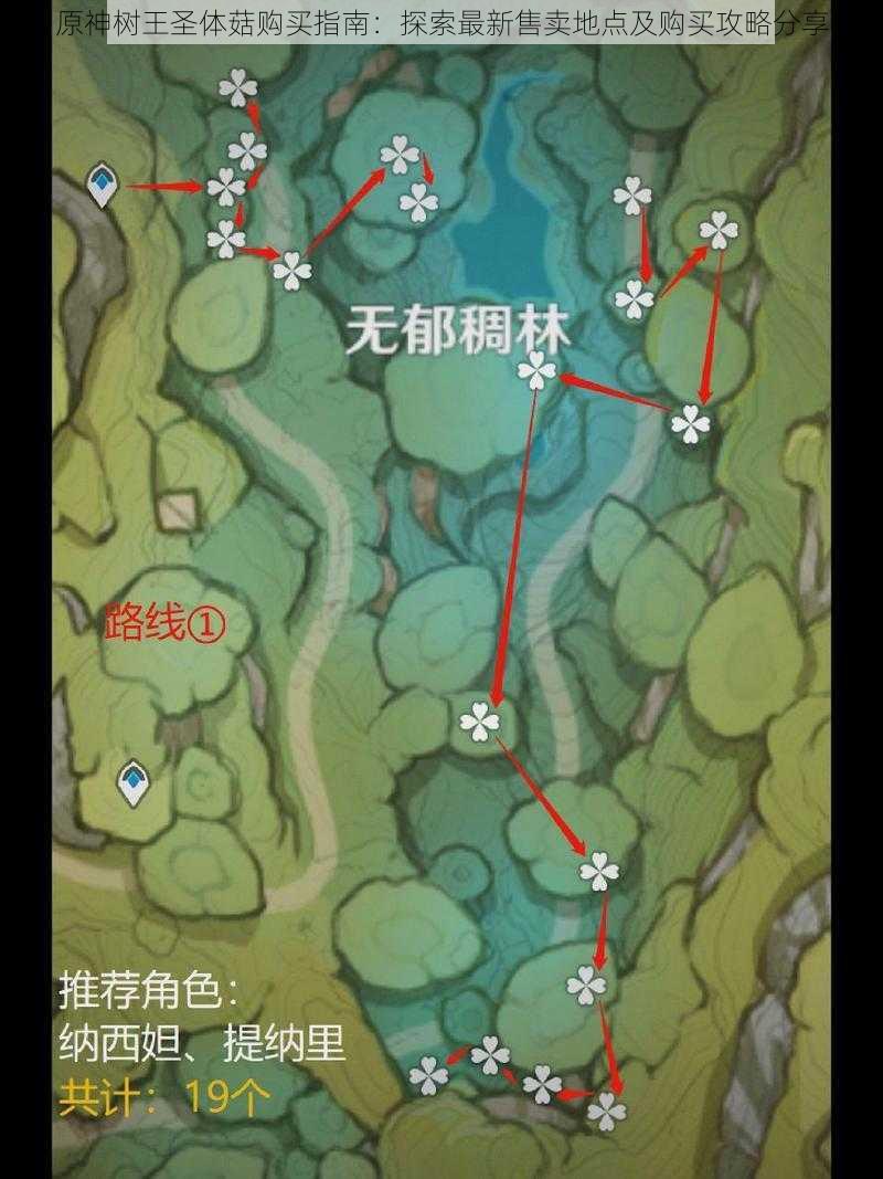原神树王圣体菇购买指南:探索最新售卖地点及购买攻略分享